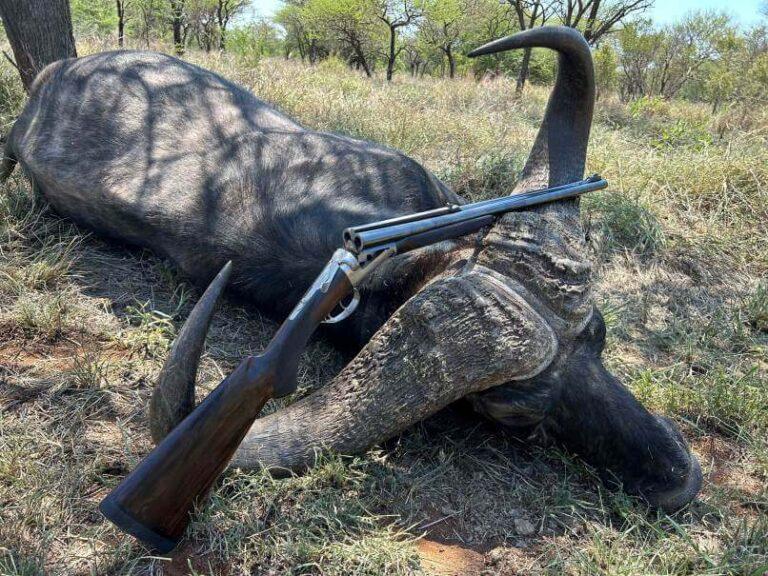 Zimbabwe Buffalo Hunting | Essential Tips for First-Timers