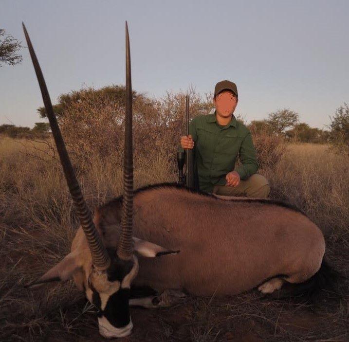 gemsbok standing in the road