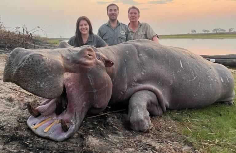 Three people standing with a hippo hunting trophy.