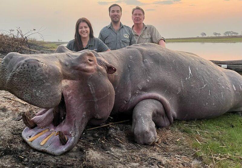 Three people standing with a hippo hunting trophy.