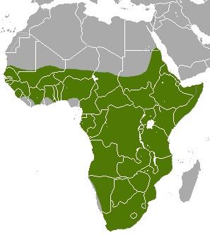 Map showing where aardvarks are distributed on the African continent