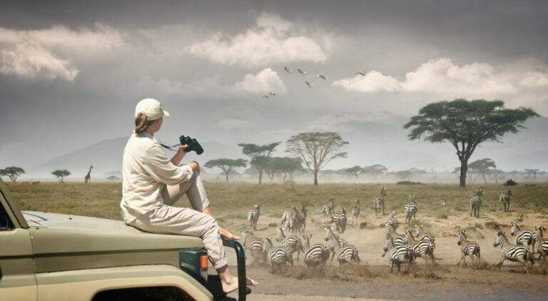 Tourist on Safari in Serengeti, Botswana