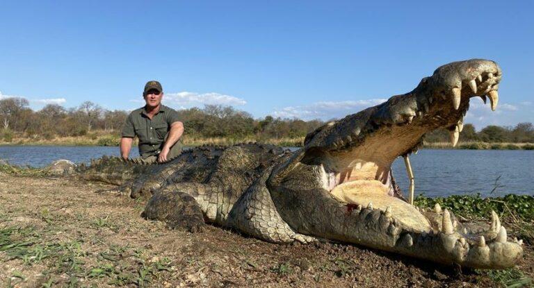 Man posing with crocodile.