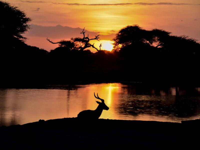 An African sunset