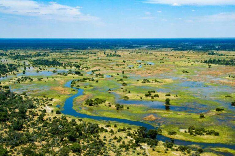 Hunting in Botswana - Okavango Delta