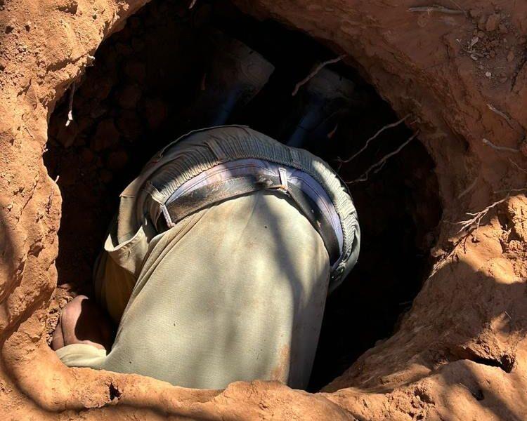 Digging for the honey badger