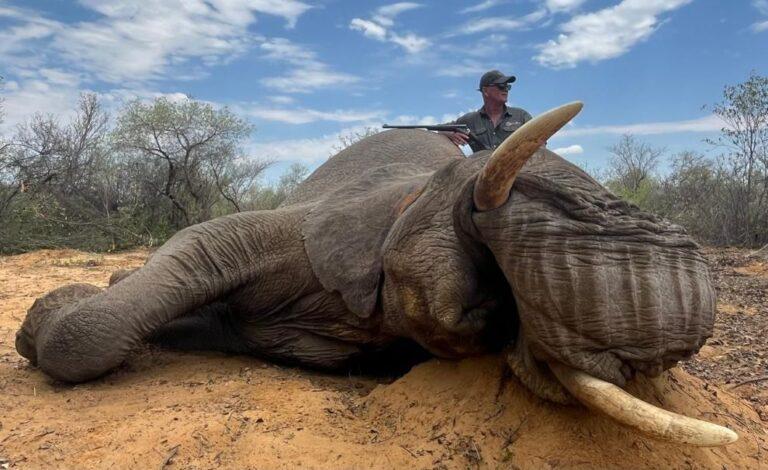 Man posing with elephant he shot