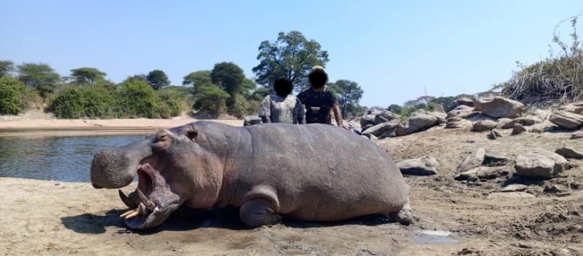 Hunting In Tanzania: Discovering The Lunda Nkwambi GCA