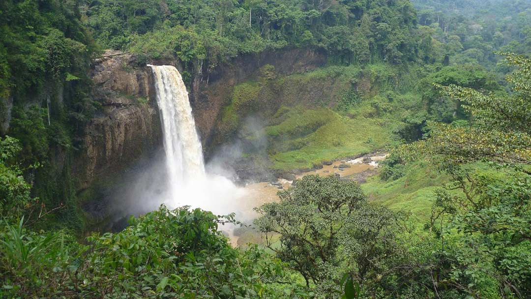 Safari Game Hunting In Cameroon’s Diverse Landscapes