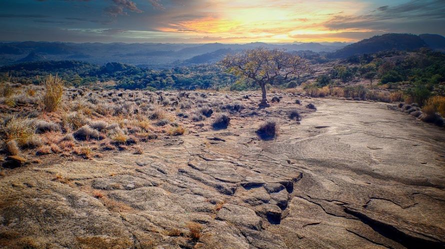 Why Go Hunting In Zimbabwe?