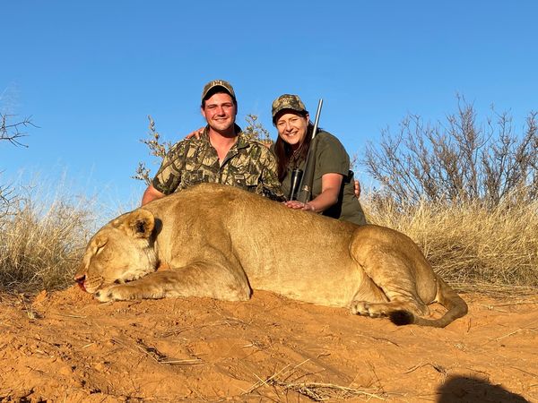 My Lion Hunting Safari