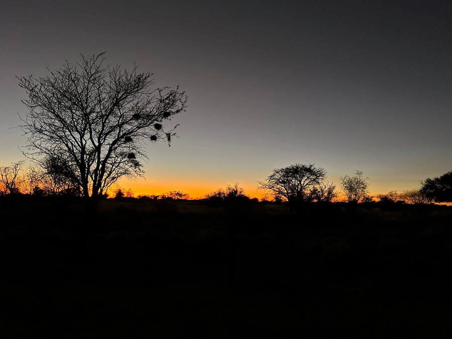 African Plains Game Hunting In South Africa