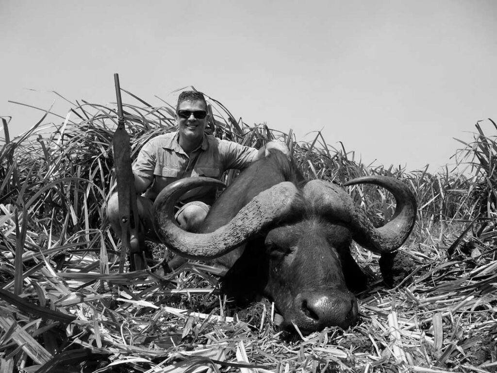 Buffalo Hunting In Mozambique