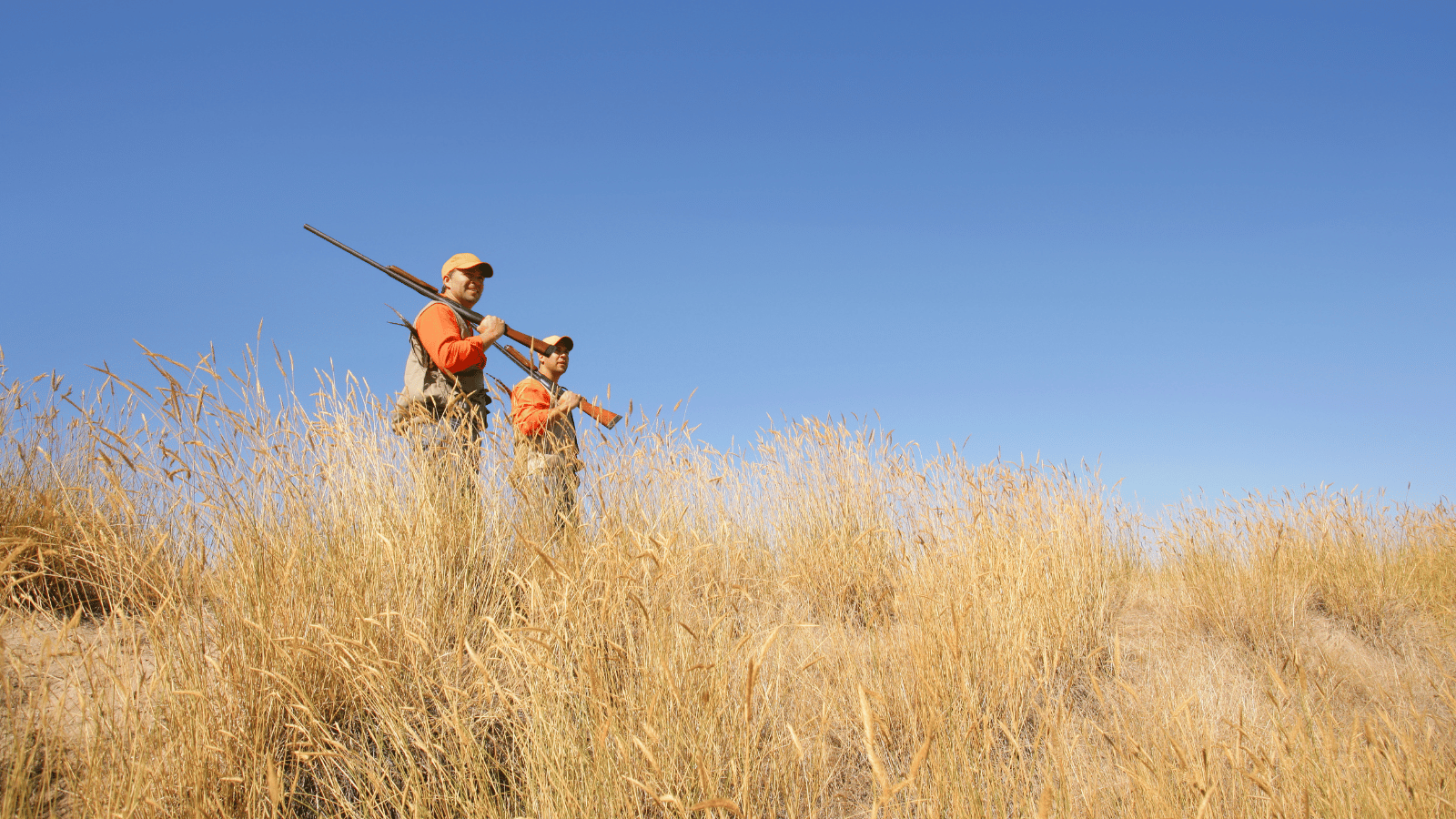 Hunting Trips in the U.S. and Africa: How to Plan, Budget, and Book with Confidence