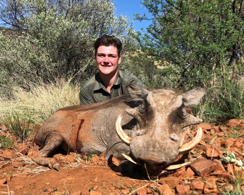 Warthog Hunting in Africa: Behavior, Shot Placement and What Hunters Should Know
