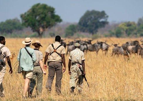 Ethical Hunting On An African Safari: Conservation & Sustainability with Game Hunting Safaris