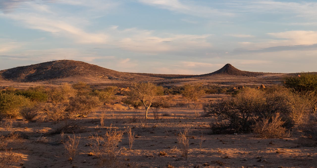 Hunting Safaris In Namibia: The Thrill Of Plains Game Hunts
