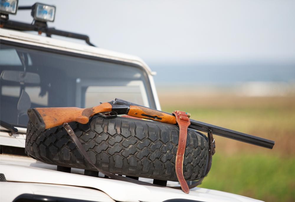 Planning Your Perfect South Africa Hunting Trip: Tips for First Timers