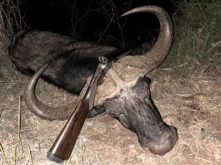 Are Cape Buffalo Hunts Value For Money If Hunting In Africa?