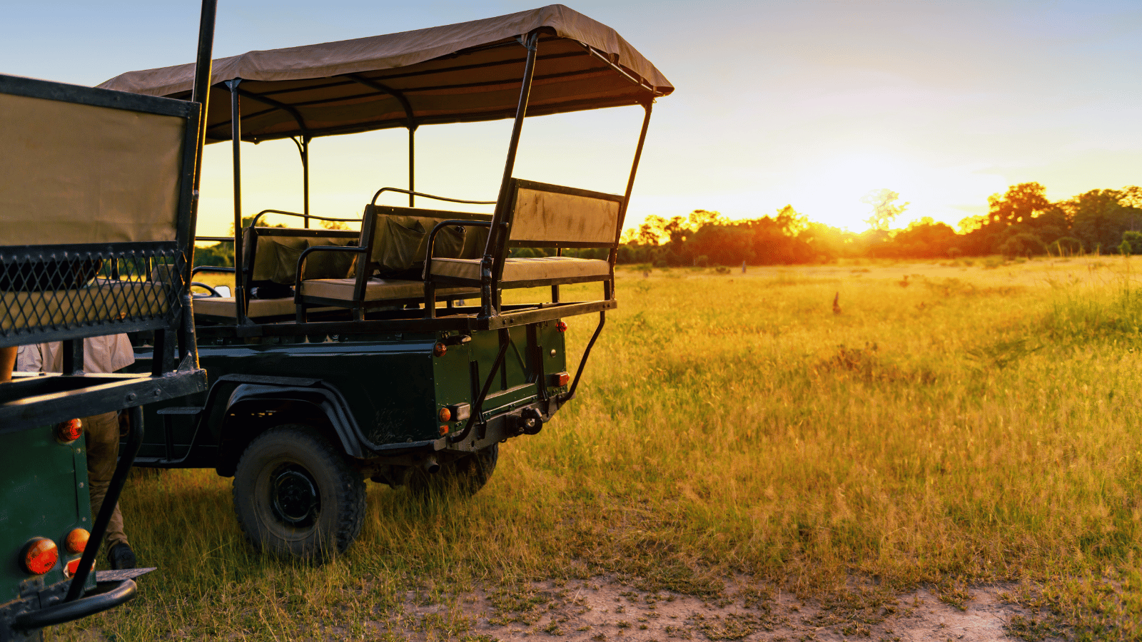 African hunting safari Guide for U.S. Hunters: Book with Game Hunting Safaris