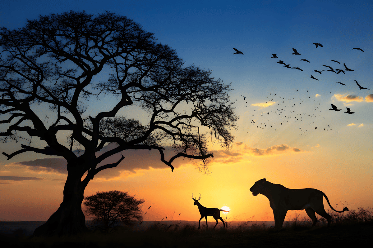 The Cost of an African Hunting Trip 2025: What U.S. Hunters Should Budget (and How Game Hunting Safaris Keeps It Simple)