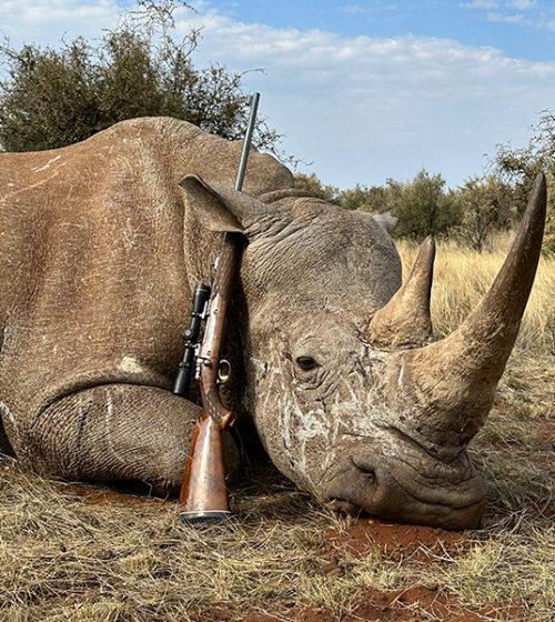 Namibia Hunting Safaris – Tackling Tanks in the Desert