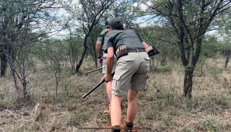 Buffalo hunting in South Africa requires stealth, fitness...and guts!