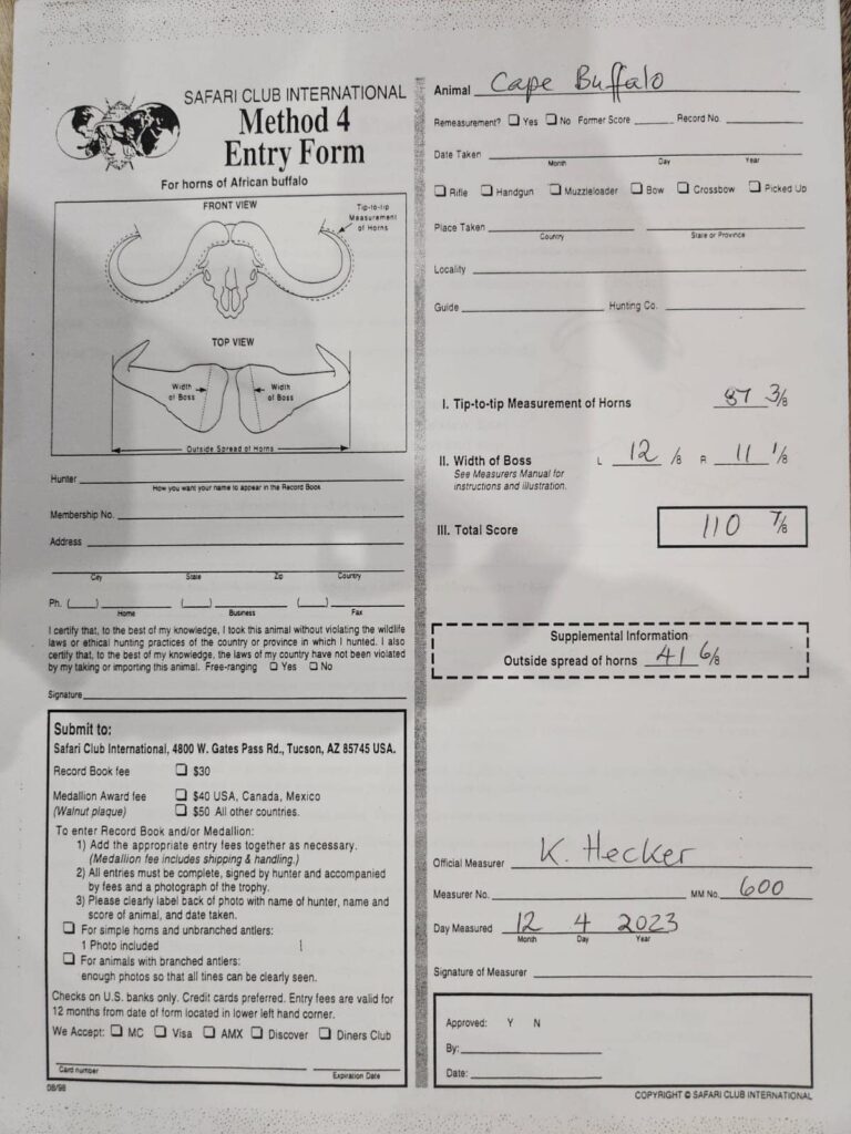 Cape buffalo measurements