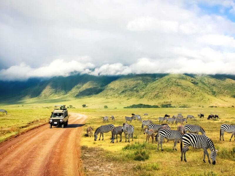 African Safari Hunts