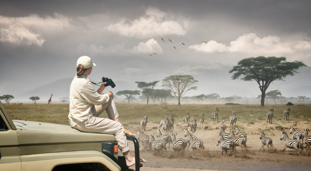 Tourist on Safari in Serengeti, Botswana