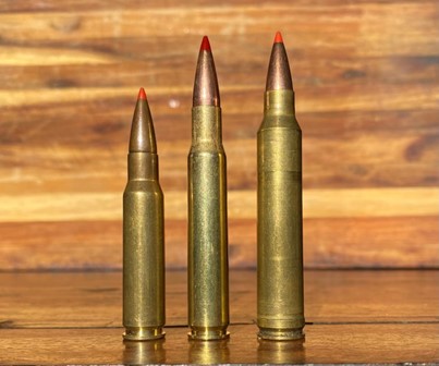 Close up image of three bullets