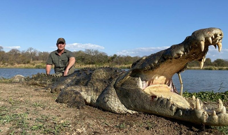 Man posing with crocodile.