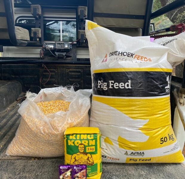 Ingredients used to bait pigs when bushpig hunting in South Africa.