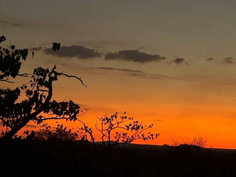 African sunset in the bushveld.