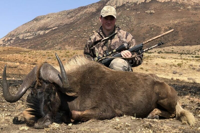Man posing with his game hunting trophy, a black wildebeest