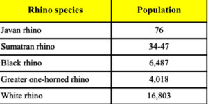 Rhino species and population